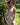 Vestido Ananda maxi étnico algodão musselina bege tribal Raja Pura - vista retrato lado
