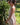 Vestido Ananda maxi étnico algodão musselina bege tribal Raja Pura - vista retrato lado