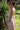 Vestido Ananda maxi étnico algodão musselina bege tribal Raja Pura - vista retrato lado