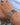 Pulseira Étnica Ami - Raja Pura - Loja online de vestuário étnico