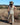 Vestido Anatólia 06 vista completa maxi vestido seda sari reciclado Raja Pura