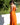 Vestido Pradera maxi étnico algodão crepe cor terracota alças finas Raja Pura - vista corpo inteiro costas