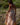 Vestido Shakti 02 vista completa maxi vestido étnico seda sari reciclado Raja Pura