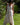 Vestido Tara maxi étnico algodão branco franjas artesanais tribal Raja Pura - vista corpo inteiro frente